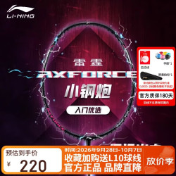 李宁 羽毛球拍雷霆小钢炮穿线单拍进攻型入门拍5U穿线AYPT307 黑色 5U  穿线