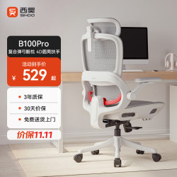 西昊 久坐舒适 人体工学椅  B100Pro 无脚踏 弹弓骶枕+3D头枕 转椅
