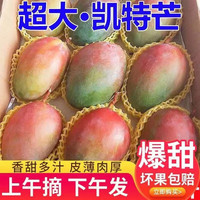 集南鲜 广西大青芒果 现摘青皮黄皮热带甜心芒果新鲜时令生鲜时令水果 净重8.5-9斤特级果王 300g起