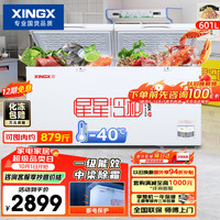 星星 601L商用冰柜   BD/BC-628GE