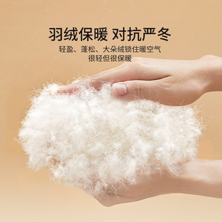 鸭鸭 羽绒蚕丝保暖内衣男 10A抑菌 经典黑 XL