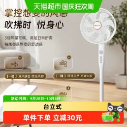 荣事达 电风扇家用大风力台立式遥控轻音静摇头平面扇宿舍落地扇