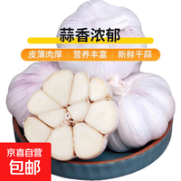 京喜 鲜蒜金乡新品种杂交大蒜红皮生鲜大蒜头大蒜5.0-5.5公分高端 1斤含箱净重0.8斤
