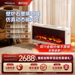 舒乐氏 取暖器壁炉仿真火焰家用节能石墨烯全屋电暖风机