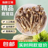 云南鹿茸菇菌菇精品优质美味食材脆脆菇鹿茸菌食用菌香菇煲汤火锅 精品鹿茸菇100g*1袋