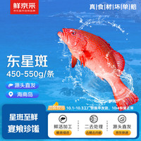 鲜京采 海南二去东星斑450-550g/条 去鳃去脏源头直发