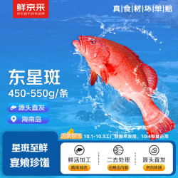 鲜京采 海南二去东星斑450-550g/条 去鳃去脏源头直发