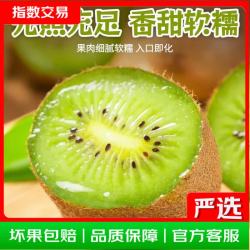 陕西徐香猕猴桃  硬果需催熟食用坏果包赔 70-90g 15枚 甜如初恋