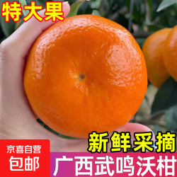 京喜加 四川沃柑 带箱 3 斤大果