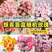 与花同行 橙色芭比多头泡泡玫瑰斗南基地直发室内家居水培送礼花束 随机单头玫瑰