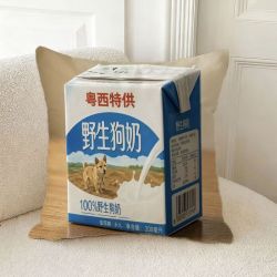 映棠 野生狗奶抱枕抽象恶搞生日礼物宿舍靠垫毛绒可定制沙发送朋友奶龙
