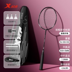 特步 羽毛球拍正品旗舰专业比赛训练球拍装备