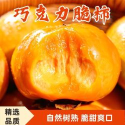 正宗阳丰脆柿子巧克力脆柿净重4.5斤