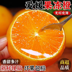 鲜菓篮 当季新鲜水果橙子柑橘无籽鲜甜多汁 5斤单果65mm+