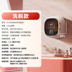 大宇 壁挂洗衣机小型内衣婴儿宝宝超薄迷你BGX08E