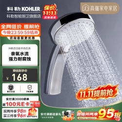 科勒 CITRUS翠思系列 K-12861T-CP 手持花洒