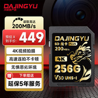 DAJINGYU 大鲸鱼SD卡 V30 256G相机内存卡储存卡高速单反存储卡 适用于索尼A1/ZV-
