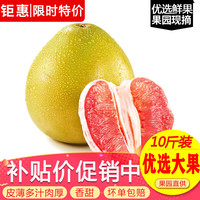 玖原农珍 沙田柚 2.5kg
