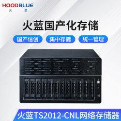 火蓝 国产信创龙芯NAS网络存储器塔式12盘位磁盘阵列存储服务器TS2012-CN