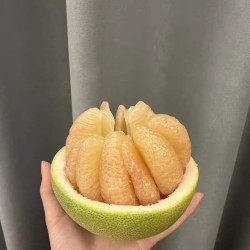 度尾文旦柚拍8斤直发10斤