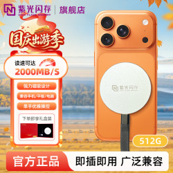 紫光闪存 固态移动硬盘手机拓展硬盘电脑两用C1银512GB 磁吸2000MB/s