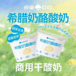 云朵叮叮 希腊干噎酸奶500g*2桶添加奶酪丝滑绵润低温营养