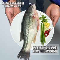 品鲜肴 淡水鲈鱼 整鱼 500g