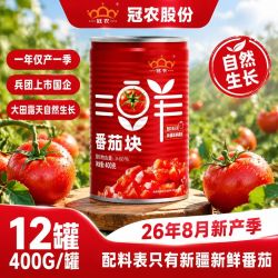 冠农股份 新疆番茄块400g家用餐饮做菜蕃茄西红柿块番茄罐头调料品