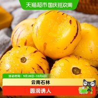 88VIP：鲜蜂队 云南石林人参果 黄肉大果 500g