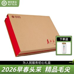 湘丰 为人民服务初心新茶明前头采毛尖绿茶礼盒208g