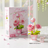 亲子时光：梅肯斯姆 半亩繁花永生积木花 K567半亩慈光-康乃馨147颗粒