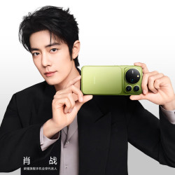 荣耀 Magic9 Pro Max 手机 12GB+256GB 苔青