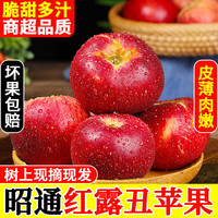家佳供 云南昭通红露苹果 5 斤小果 (单果 55-70mm)