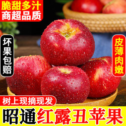 家佳供 云南昭通红露苹果 5 斤小果 (单果 55-70mm)