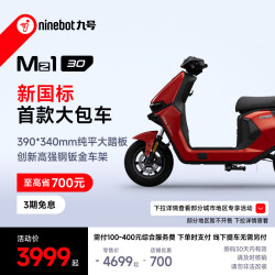 九号 Mz1 30 电动自行车