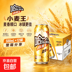 哈尔滨 哈er滨小麦王啤酒500ml*12罐 家庭聚餐烧烤聚会 听装啤酒整箱 500mL 12罐