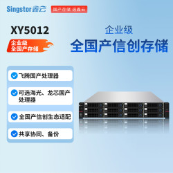 NAS网络存储XY5012 12盘位万兆光纤磁盘阵列 三年质保 标配 整机48TB（含12块4T企业级SAS机械硬盘）