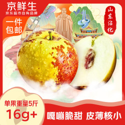 京鲜生 陕西大荔冬枣 净重4.5斤 单果15g+ 新鲜水果 源头直发