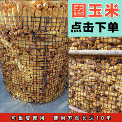 圈玉米专用网屯玉米玉米架子网重复使用不生锈塑胶围栏网加厚耐用