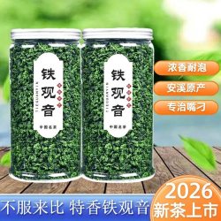 铁观音2026安溪茶叶浓香型传统好茶兰花香高山新茶尝鲜罐装大份量