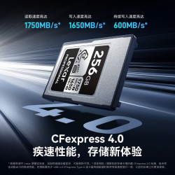雷克沙 256GB Cfexpress Type A存储卡 索尼相机专用cfa卡 4.0高速 (SILVER)