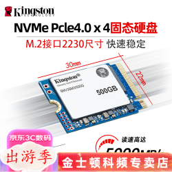 金士顿1T固态硬盘500G 移动硬盘SNV3SM3 m.2固态硬盘2230 Nvme