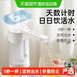 双枪 桶装水电动抽水器吸水器压水器自吸全自动抽水神器水泵上水器