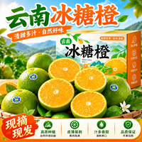 物鲜仙子 哀牢山冰糖橙 5 斤装 单果 60mm + 净重 4.5 斤