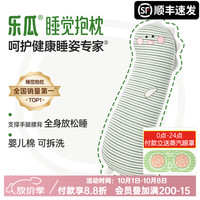 慵懒时光：乐瓜 大号恐龙 80*24*16cm 长条抱枕