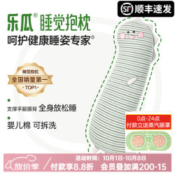 乐瓜 大号恐龙 80*24*16cm 长条抱枕
