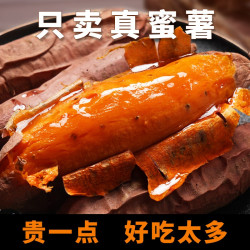 正宗现挖糖心烟薯25号蜜薯红薯新鲜番薯沙地烤地瓜农科院山芋