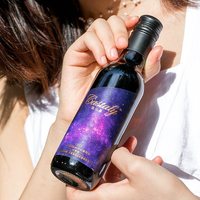 宅家食光：Castaly 凯仕丽绿洲干型葡萄酒187ml 赤霞珠红酒迷你装小瓶红酒