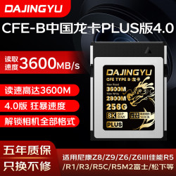 DAJINGYU 大鲸鱼 256GB CFexpress Type B存储卡cfe b高速内存卡 读3600MB 适配富士佳能尼康松下8K超清录制