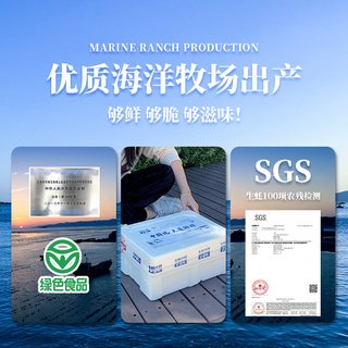 生蚝小镇 大连鲜活生蚝 7斤装